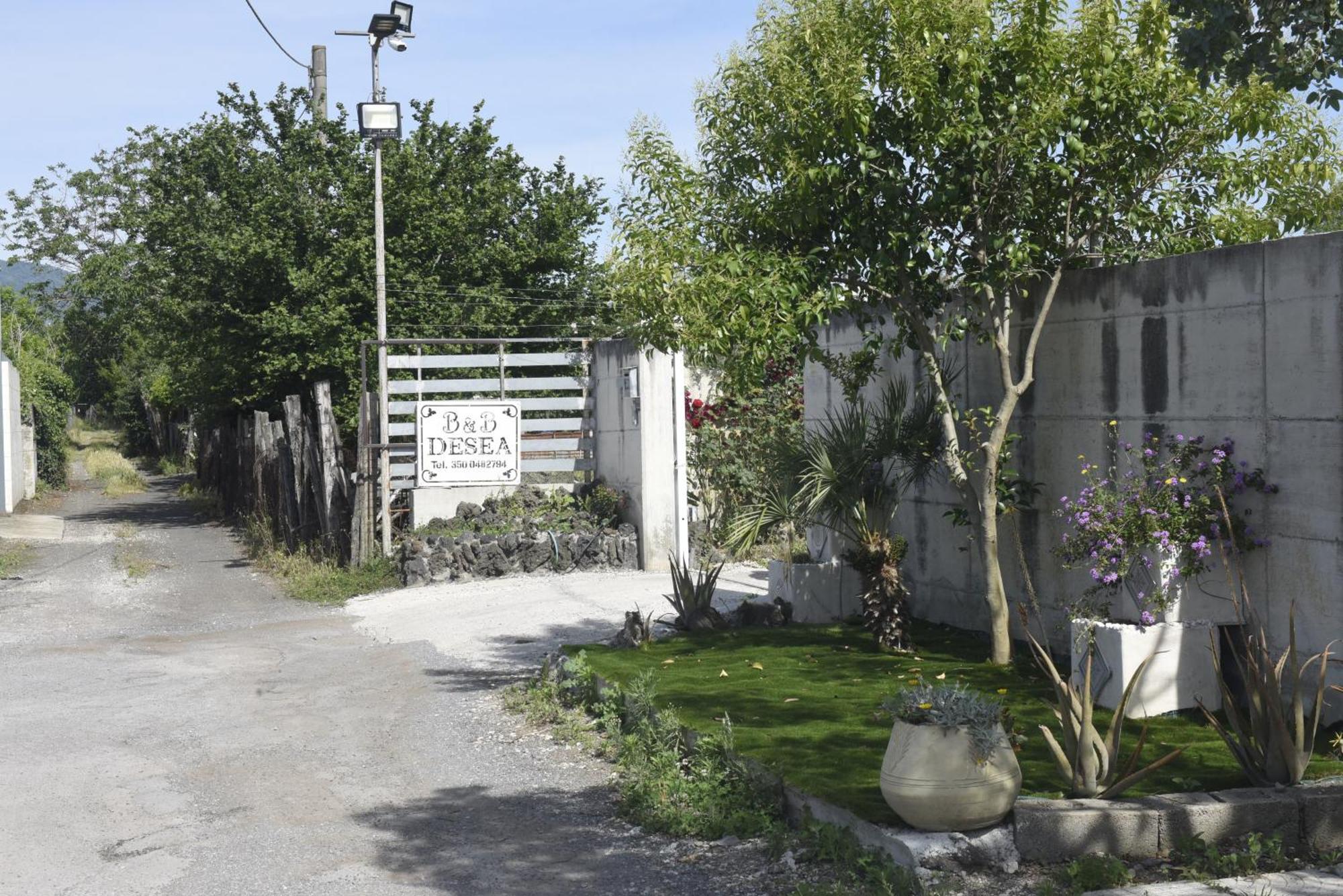 B&B Desea Poggiomarino Dış mekan fotoğraf
